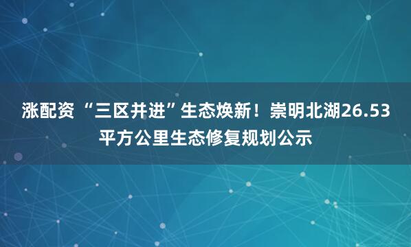 涨配资 “三区并进”生态焕新！崇明北湖26.53平方公里生态修复规划公示