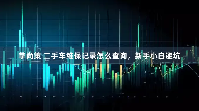 掌尚策 二手车维保记录怎么查询，新手小白避坑